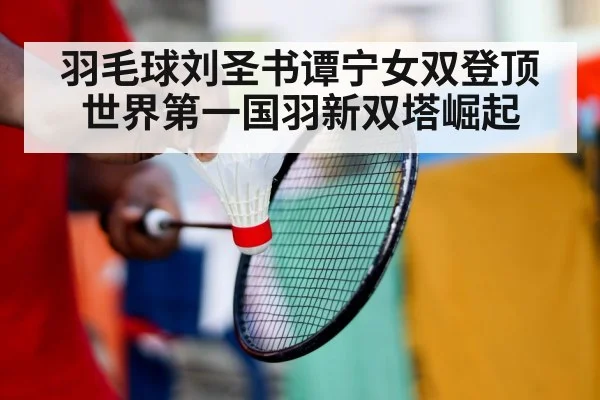 羽毛球刘圣书谭宁女双登顶世界第一国羽新双塔崛起