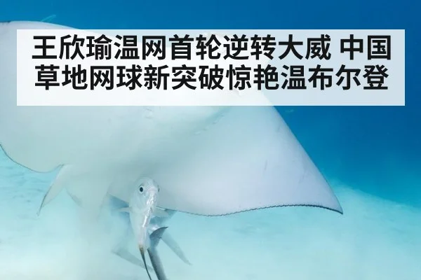 王欣瑜温网首轮逆转大威 中国草地网球新突破惊艳温布尔登